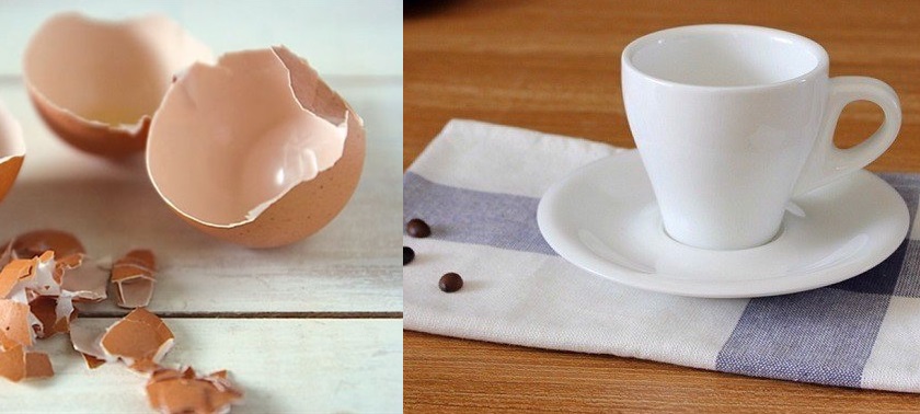 Tưởng vứt đi nhưng vỏ trứng lại mang tới những lợi ích không ngờ trong việc chăm sóc nhà cửa