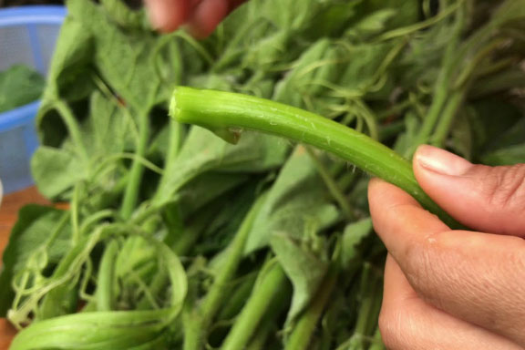 Mách bạn cách tước rau bí vừa non mềm vừa sạch lại nhanh hơn trông thấy