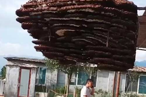 Phát hiện tổ ong 10 tầng to như cái nhà, dân làng thuê cần cẩu gỡ xuống để đem đi đăng ký kỷ lục Guinness