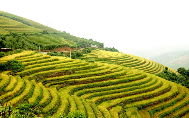 5 vùng núi của Việt Nam nổi tiếng trên báo Tây