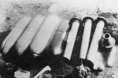 Liên Xô đã cứu thế giới khỏi chiến tranh sinh học của Nhật Bản như thế nào?