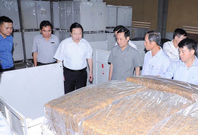 Thành lập Tổ Công tác tháo gỡ khó khăn cho 19 tập đoàn, tổng công ty