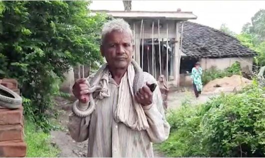 Người đàn ông tuyên bố miễn nhiễm với nọc độc và kết cục bi thảm sau khi để rắn quấn quanh cổ