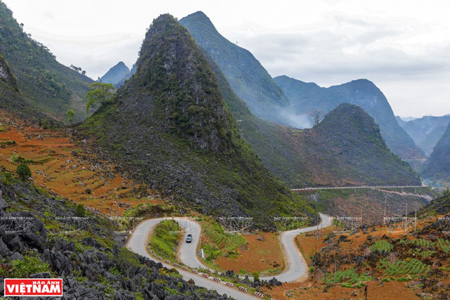 P&#x1EA3;i L&#x1EE7;ng - Nh&#x1EEF;ng con d&#x1ED1;c mang h&#xEC;nh d&#x1EA5;u h&#x1ECF;i