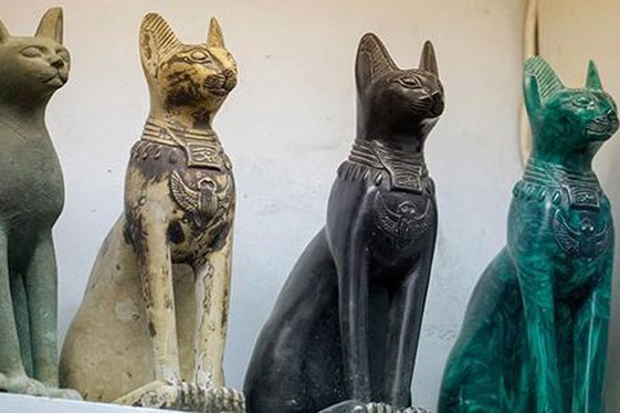 Tại sao người Ai Cập cổ đại lại tôn sùng mèo?