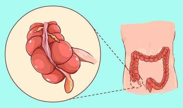 12 điều kỳ lạ về cơ thể con người mà các nhà khoa học không thể giải thích nổi