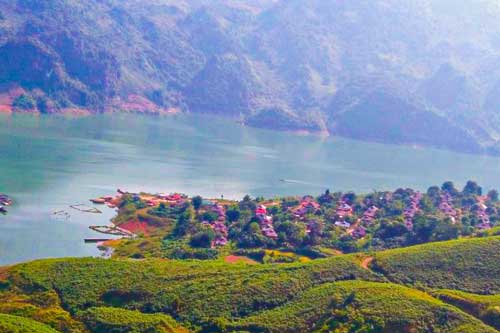 Huổi Lóng (Điện Biên) - Bình yên và quyến rũ