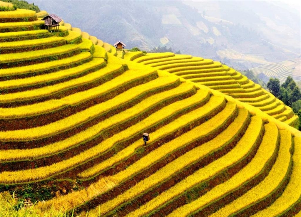 Nấm Dẩn - Mảnh đất cổ người Nùng U Nấm Dẩn - Mảnh đất cổ người Nùng U