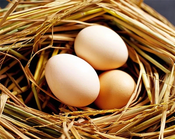 Nhờ những dưỡng chất tuyệt vời, mặt nạ trứng gà trở thành phương pháp làm trắng da tự nhiên vô cùng hiệu quả