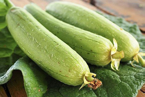 Bảo quản mướp đừng cho vào tủ lạnh, làm theo cách này để cả tuần mướp vẫn tươi ngon