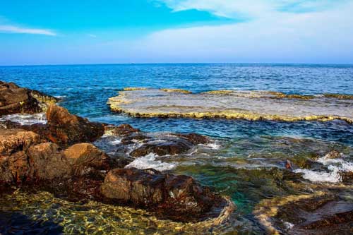 Chiêm ngưỡng vẻ đẹp kỳ vĩ của các bãi san hô cổ tại Ninh Thuận