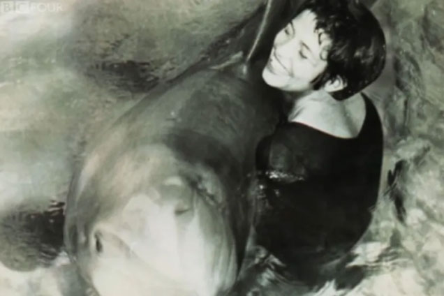 Cá heo yêu say đắm cô gái mới gặp, biết ghen tuông và tự tử khi phải xa người tình