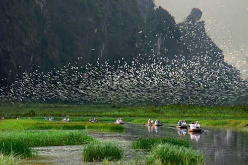 Những vùng đất ngập nước độc đáo nhất tại Việt Nam