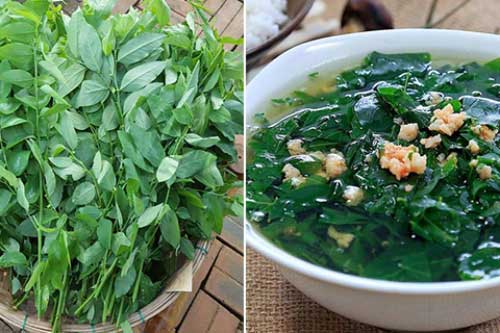 3 sai lầm khi ăn rau ngót gây hại cho cơ thể, nhiều người Việt không biết mà tránh