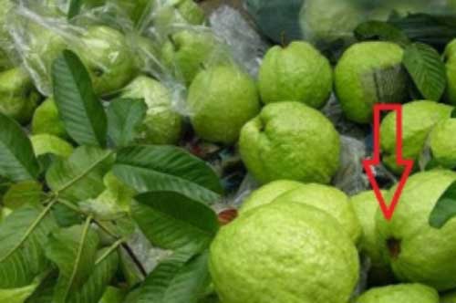 Người "sành" ăn ổi bày cách cứ chọn đúng quả có điểm này là ổi giòn ngon tuyệt hảo