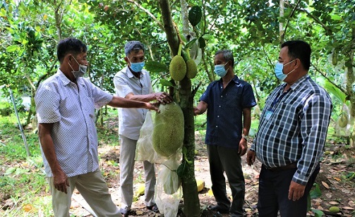 Sóc Trăng: Cựu chiến binh làm giàu nhờ mạnh dạn áp dụng khoa học kỹ thuật trong sản xuất nông nghiệp