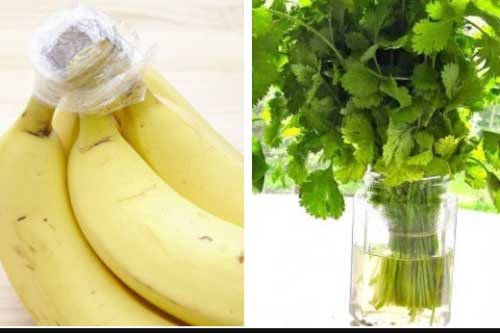 Cách bảo quản các loại rau, củ, quả cho tươi lâu mà không cần đến tủ lạnh