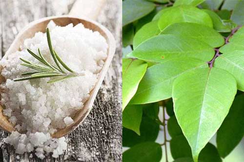 Đừng để viêm da cơ địa ‘hành hạ’ trẻ trong mùa đông: BS chỉ ra bài thuốc trị dứt điểm