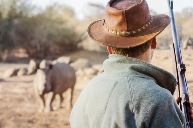 Con người đã đóng vai trò gì trong sự tuyệt chủng của các loài hiện đại?