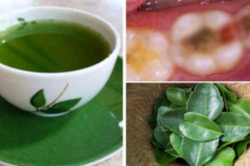 Trị sâu răng, viêm lợi, hôi miệng bằng loại lá rẻ bèo, chợ nào cũng có