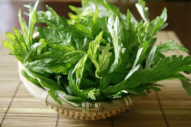 Sử dụng ngải cứu như một bài thuốc chữa bệnh hiệu quả