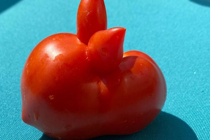 Loạt ảnh củ quả siêu thú vị hiếm người từng được chiêm ngưỡng