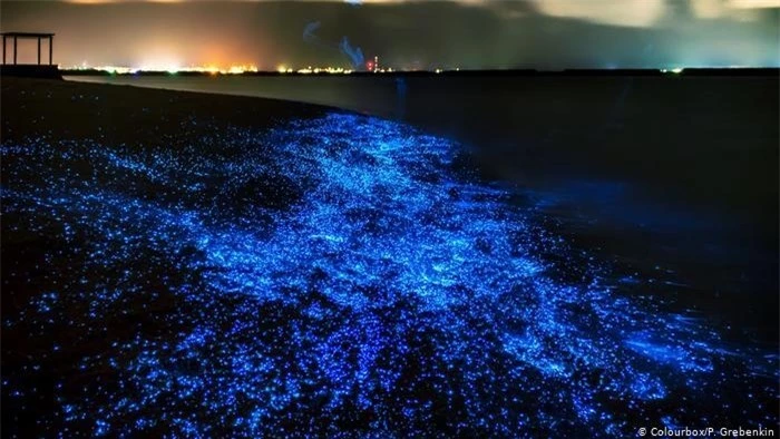 Bãi biển phát sáng trong đêm như dải ngân hà, nằm sát Việt Nam mà ít người biết - 6