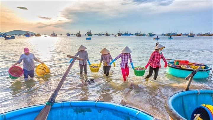 Có một làng chài đẹp mê ly với những chiếc thuyền thúng đầy màu sắc ở Bình Thuận - 2