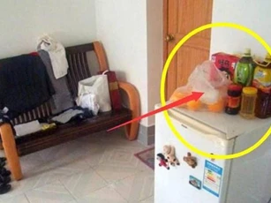 Tiện tay đặt thứ này lên nóc tủ lạnh: Bảo sao tiền chưa kịp vào nhà, đã ra như nước lũ