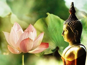 Đời người ai cũng có 4 nỗi sợ lớn nhất: Phải sợ để biết trân trọng cuộc sống này
