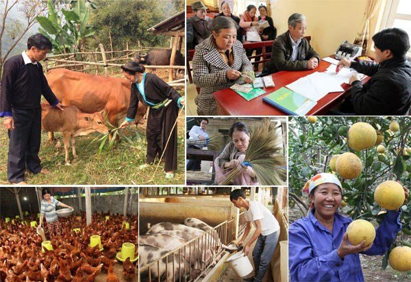 Thủ tướng Chính phủ yêu cầu các Bộ ngành, địa phương tập trung lãnh đạo, chỉ đạo thực hiện hiệu quả các chính sách, nhiệm vụ, giải pháp xoá đói giảm nghèo