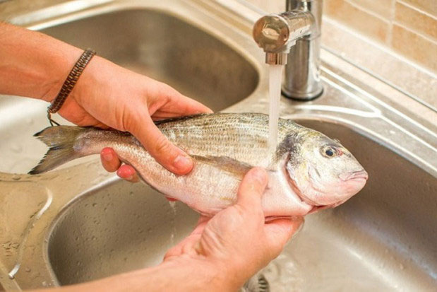 Mẹo bảo quản cá tươi trong tủ lạnh: Vừa không sợ mùi tanh vừa đảm bảo thịt cá ngon như mới