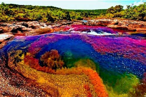 Kỳ lạ dòng sông liên tục đổi màu như cầu vồng, huyền ảo đến mê hoặc