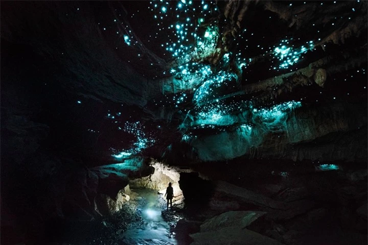 Ngắm ‘xứ thần tiên’ xuất hiện ở đời thực, nằm dưới hang động 30 triệu năm tuổi - 7