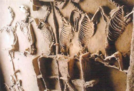 Xe ủi vô tình lật tung mộ cổ, cảnh tượng hãi hùng lộ ra, danh tính chủ mộ cực thần bí ảnh 1