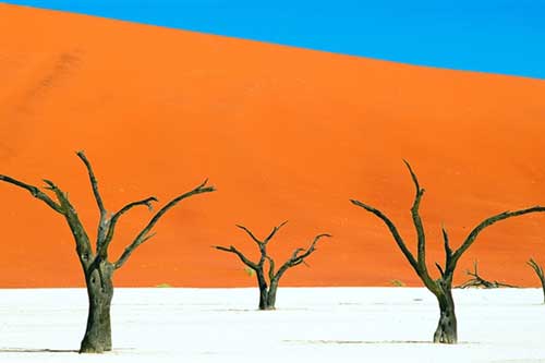 ‘Đầm lầy chết’ hơn 900 năm tuổi hiện lên giữa sa mạc như bức tranh tuyệt mỹ