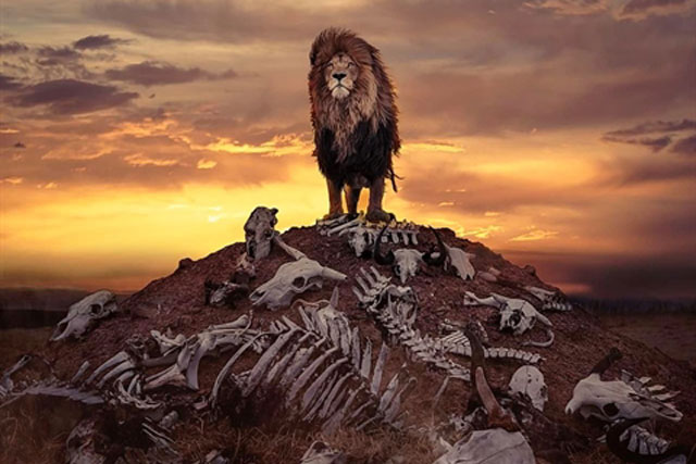 'Vua sư tử' đứng trên gò xương gây tranh cãi: Sự thật?
