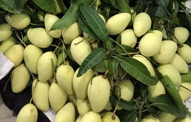 Giảm giá tới 40% khi mua nông sản trên sàn Sendo