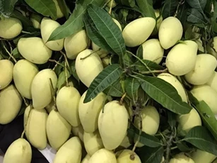 Giảm giá tới 40% khi mua nông sản trên sàn Sendo