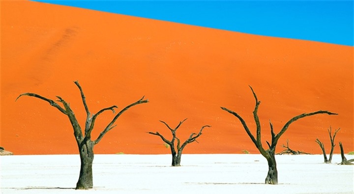 ‘Đầm lầy chết’ hơn 900 năm tuổi hiện lên giữa sa mạc như bức tranh tuyệt mỹ - 1
