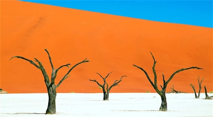 ‘Đầm lầy chết’ hơn 900 năm tuổi hiện lên giữa sa mạc như bức tranh tuyệt mỹ - 1