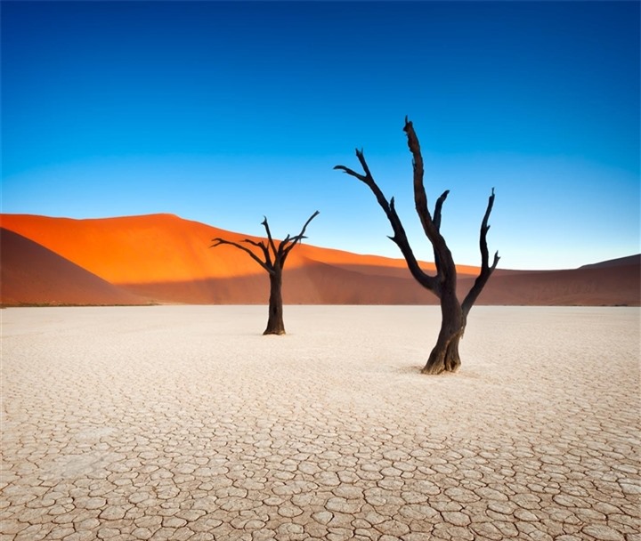 ‘Đầm lầy chết’ hơn 900 năm tuổi hiện lên giữa sa mạc như bức tranh tuyệt mỹ - 2