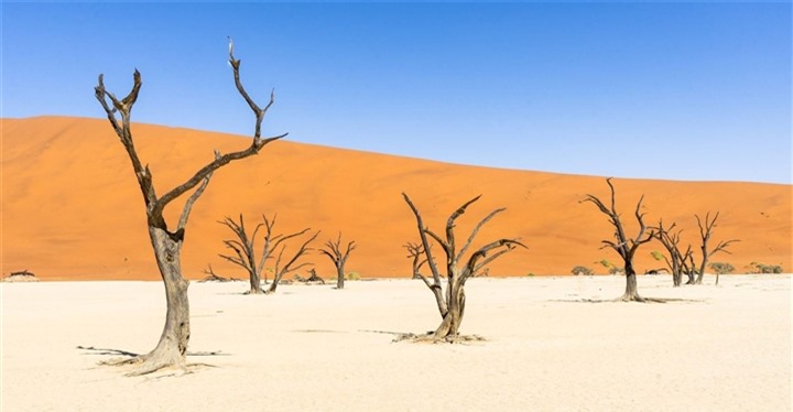 ‘Đầm lầy chết’ hơn 900 năm tuổi hiện lên giữa sa mạc như bức tranh tuyệt mỹ - 4