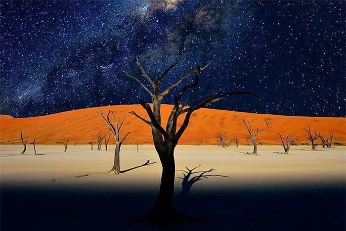 ‘Đầm lầy chết’ hơn 900 năm tuổi hiện lên giữa sa mạc như bức tranh tuyệt mỹ - 5