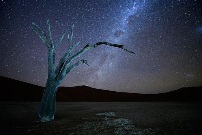 ‘Đầm lầy chết’ hơn 900 năm tuổi hiện lên giữa sa mạc như bức tranh tuyệt mỹ - 6