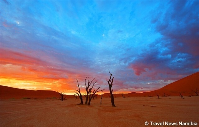 ‘Đầm lầy chết’ hơn 900 năm tuổi hiện lên giữa sa mạc như bức tranh tuyệt mỹ - 7