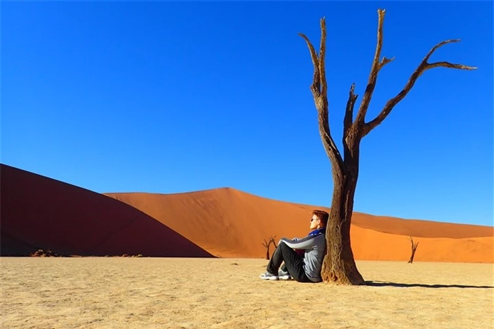 ‘Đầm lầy chết’ hơn 900 năm tuổi hiện lên giữa sa mạc như bức tranh tuyệt mỹ - 8