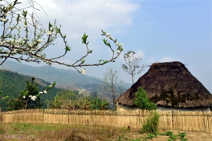 Chẳng cần đi xa, Việt Nam cũng có ngôi làng 'nhà nấm' đẹp như cổ tích - 3