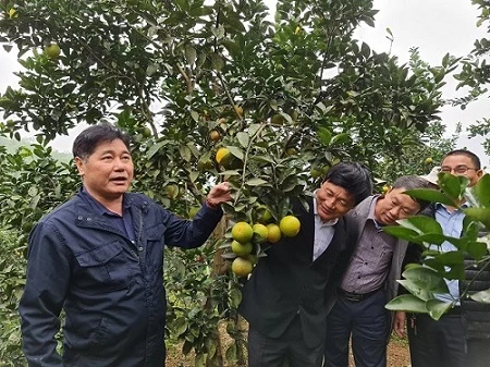 Ông Lê Quốc Thanh