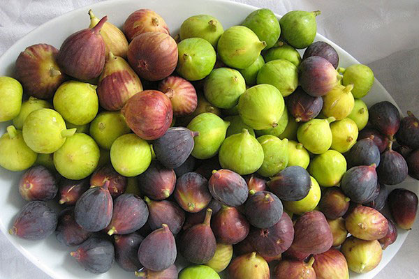 Công dụng hỗ trợ giảm cân, trị mụn bất ngờ từ sung